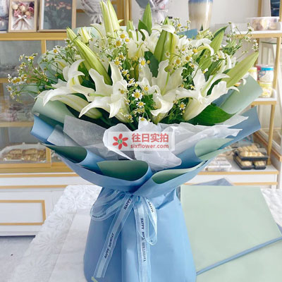 阜阳8支白色多头百合洋甘菊，互倾的思念