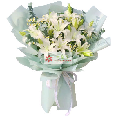 阜阳6支白色多头百合，温馨的祝福