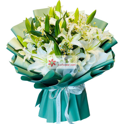 阜阳8支白色多头百合洋甘菊，如潮的思念