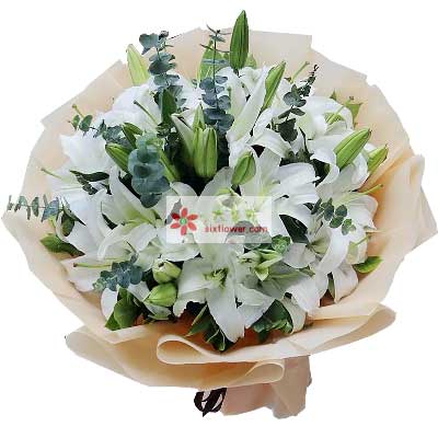 阜阳9支白色多头百合，祝福你幸福